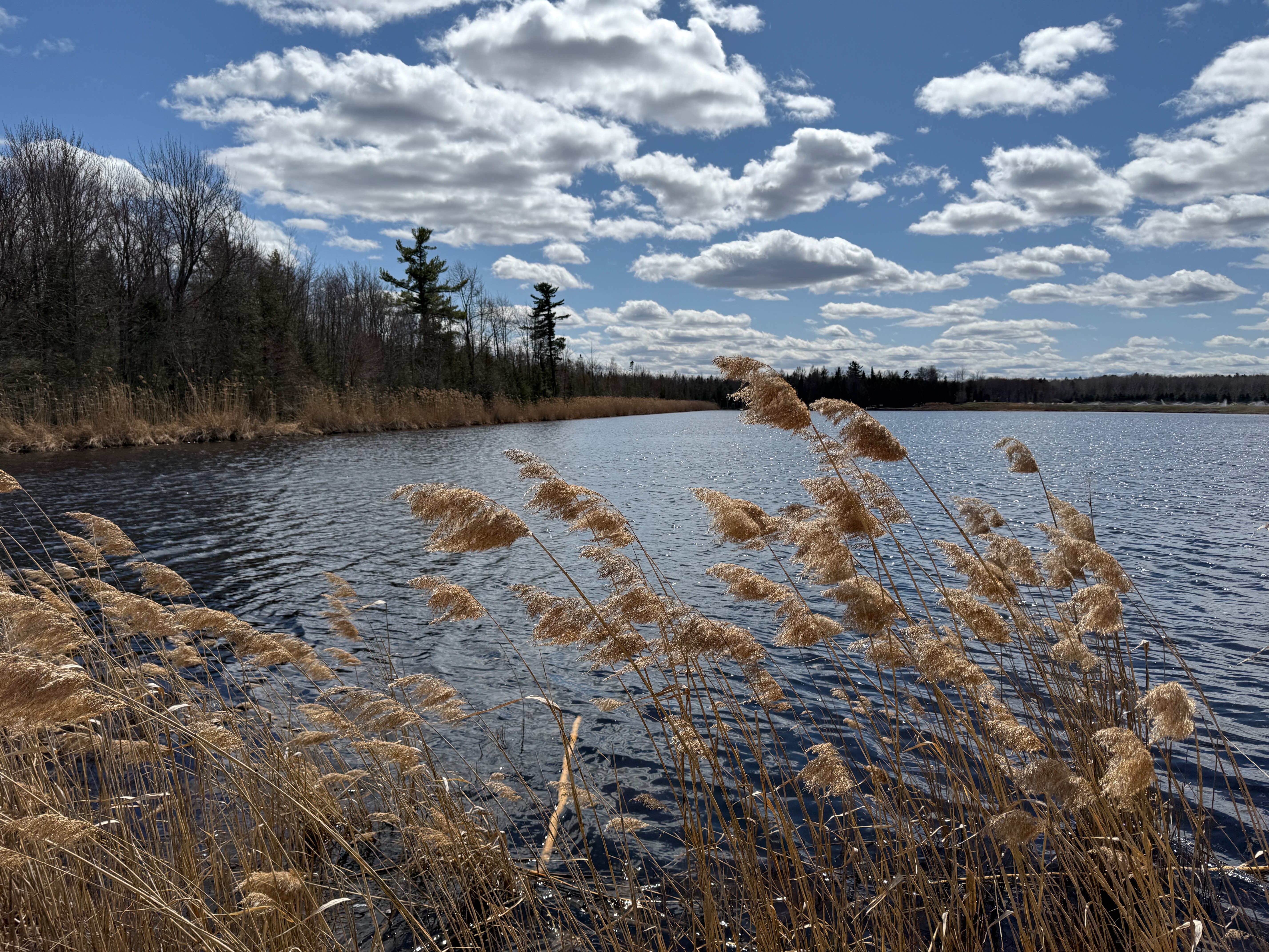 Terrain hydrogéologique — cannebergière, Québec